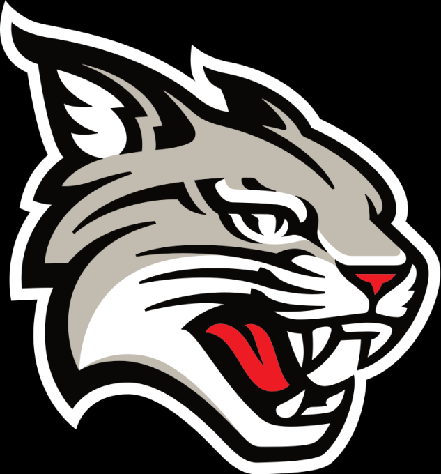 St. Louis Billikens Women’s Basketball vs. Davidson Wildcats